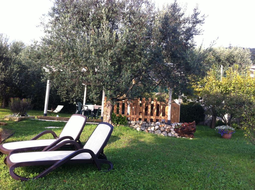 Agriturismo Casa Rosa فيرونا المظهر الخارجي الصورة