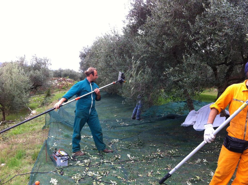 Agriturismo Casa Rosa فيرونا المظهر الخارجي الصورة
