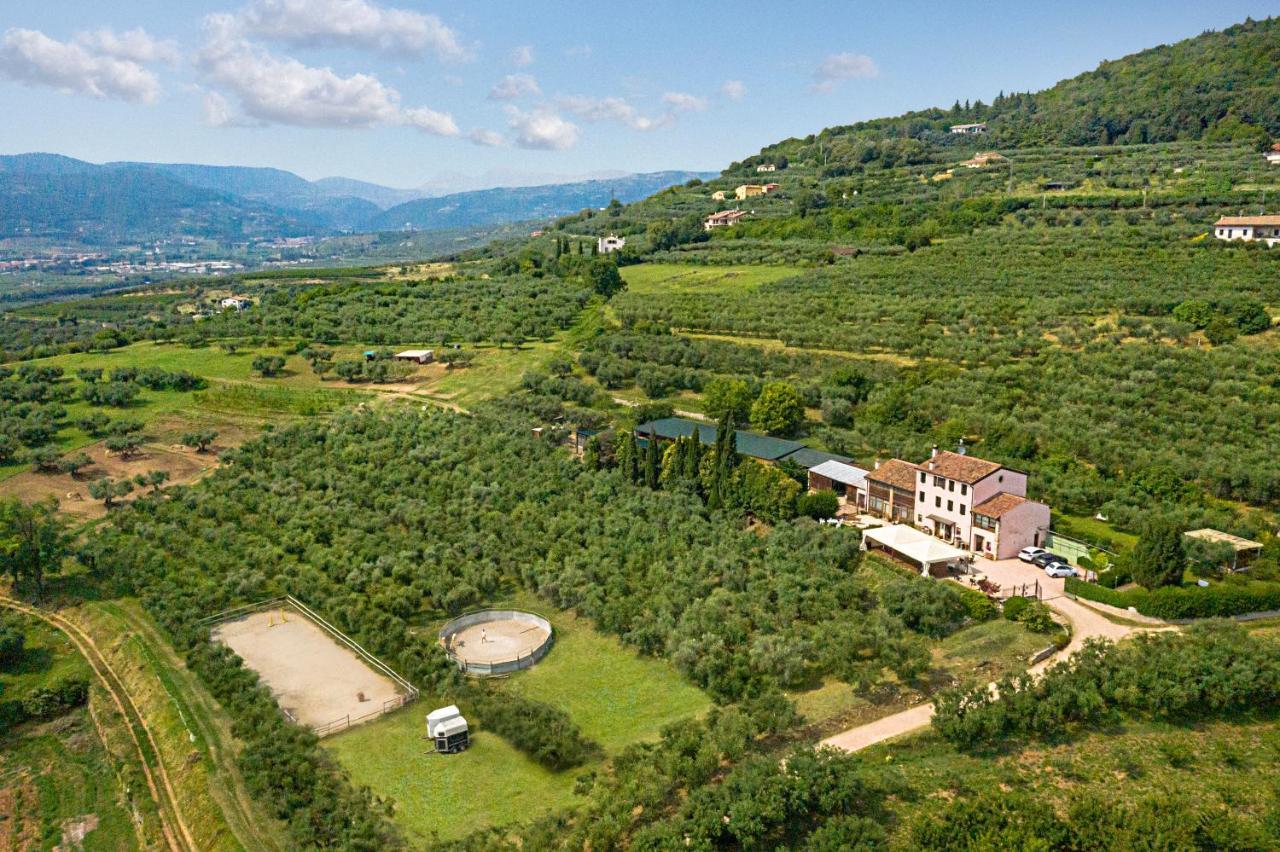 Agriturismo Casa Rosa فيرونا المظهر الخارجي الصورة