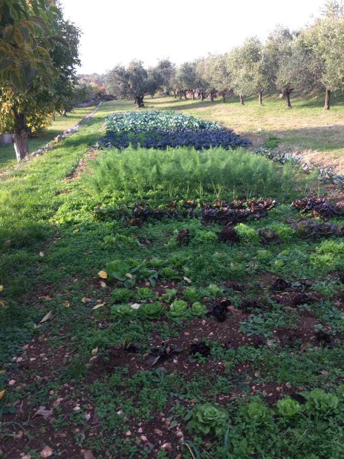 Agriturismo Casa Rosa فيرونا المظهر الخارجي الصورة