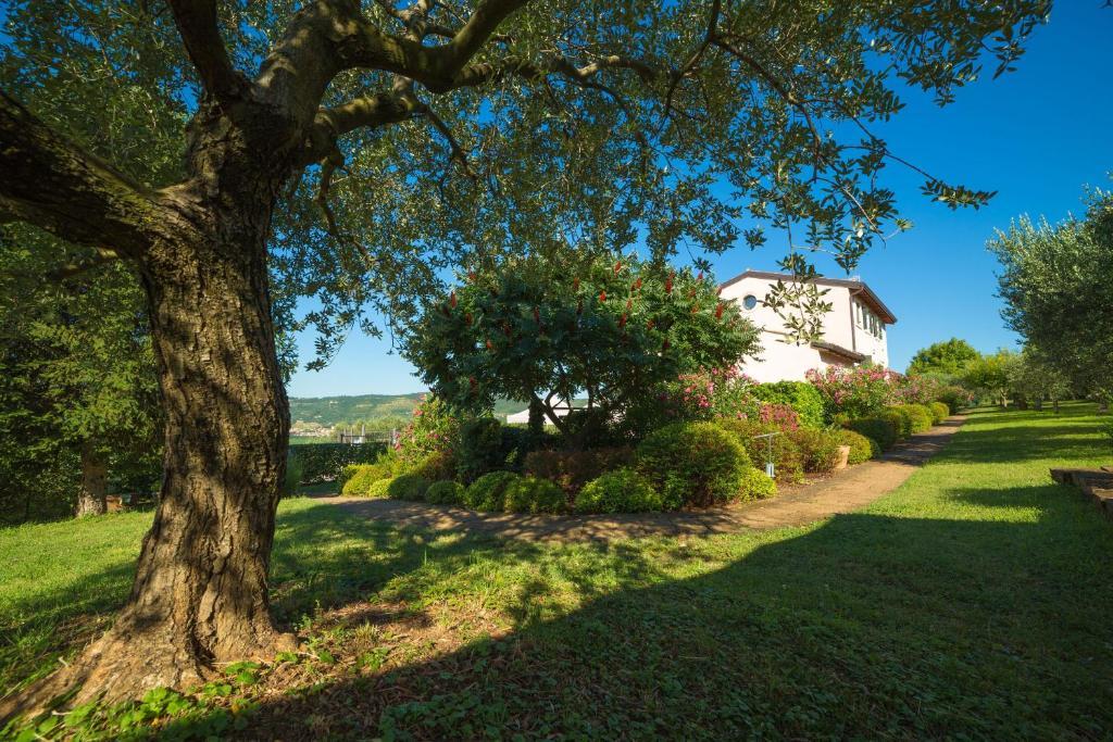 Agriturismo Casa Rosa فيرونا المظهر الخارجي الصورة